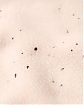 Moscow USA предлагает Вам купить мужскую толстовку с капюшоном Abercrombie Fitch светло-розового цвета с элементами краски и фирменной надписью белого цвета. Модель 05135 . Доставка по России, Москве и области, самовывоз.
