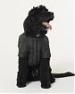 Moscow USA предлагает вам пуховик для собак Gilly Hicks черного цвета с логотипом. Модель 06880. Доставка по России, Москве и области, самовывоз.
