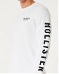 Moscow USA предлагает вам купить футболку с длинным рукавом Hollister белого цвета из вафельной ткани с нашитым логотипом. Модель 07182. Бесплатная доставка по России, Москве и области, самовывоз