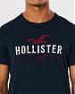 Moscow USA предлагает вам купить футболку Hollister темно-синего цвета с надписью и логотипом. Модель 06573. Доставка по России, Москве и области, самовывоз.