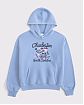 Женская толстовка Abercrombie & Fitch Чарлстон синяя — миниатюра 1