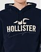 Moscow USA предлагает Вам купить винтажную мужскую толстовку с капюшоном Hollister темно-синего цвета с белой нашитой надписью. Модель 06484. Доставка по России, Москве и области, самовывоз.