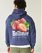 Мужская толстовка Hollister Boxy с синего цвета с принтом клубники на груди и спине. Оригинальная модель, бесплатная доставка и примерка по России