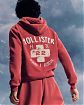 Мужская толстовка Hollister с графикой Holiday Vault и аппликацией. Оригинальная модель, бесплатная доставка и примерка по России.