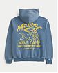 Мужская толстовка Hollister на молнии с принтом Малибу Вайв Камп в светло-голубом цвете. Оригинальная модель 08127, бесплатная доставка и примерка по Москве и России