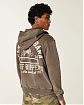 Мужская толстовка Hollister на молнии с принтом Санта Барбара Риф Рипперс в коричневом цвете. Оригинальная модель 08128, бесплатная доставка и примерка по России
