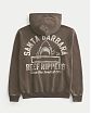 Мужская толстовка Hollister на молнии с принтом Санта Барбара Риф Рипперс в коричневом цвете. Оригинальная модель 08128, бесплатная доставка и примерка по России