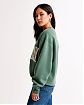 Женская плотная толстовка без капюшона Abercrombie & Fitch Game Day зеленого цвета с нашивкой. Модель 07800. Бесплатная доставка по России, Москве и Области от Moscow USA