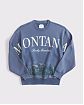 Женский плотный свитшот Abercrombie & Fitch Montana синего цвета с горным принтом на груди и рукавах. Оригинальная модель с бесплатной доставкой по России, Москве и Области.