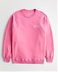 Женская толстовка без капюшона Hollister Oversized розового цвета с нашитым логотипом. Модель 06581. Подробное описание и цена товара. Доставка по России, Москве и Области от Moscow USA