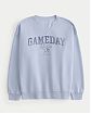 Moscow USA предлагает вам купить женский свитшот Hollister Oversized Gameday синего цвета с V-вставкой у горла и графическим рисунком. Модель 07946. Бесплатная доставка по России, Москве и области, самовывоз.
