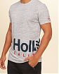 Moscow USA предлагает вам купить футболку Hollister серого цвета с фирменной надписью. Модель 03151. Доставка по России, Москве и области, самовывоз.