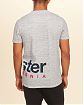 Moscow USA предлагает вам купить футболку Hollister серого цвета с фирменной надписью. Модель 03151. Доставка по России, Москве и области, самовывоз.