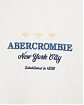 Moscow USA предлагает вам купить мужскую толстовку свитшорт Abercrombie & Fitch кремового цвета с графикой. Модель 07656. Бесплатная доставка по России, Москве и области, самовывоз.