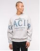 Moscow USA предлагает вам купить мужскую толстовку свитшот Abercrombie & Fitch Glacier с принтом национального парка на груди и спине. Модель 07815. Бесплатная доставка по России, Москве и области, самовывоз.