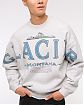 Moscow USA предлагает вам купить мужскую толстовку свитшот Abercrombie & Fitch Glacier с принтом национального парка на груди и спине. Модель 07815. Бесплатная доставка по России, Москве и области, самовывоз.