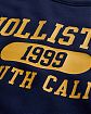 Moscow USA предлагает вам купить мужскую толстовку свитшот Hollister темно-синего с желтым принтом на груди. Модель 05854. Доставка по России, Москве и области, самовывоз.