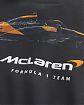 Moscow USA предлагает вам купить мужскую толстовку свитшот Hollister McLaren черного цвета с горлом на молнии и графикой. Модель 07758. Бесплатная доставка по России, Москве и области, самовывоз.