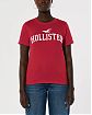 Женская футболка Hollister красного цвета с фирменным логотипом. Модель 06529. Подробное описание и цена товара. Доставка по России, Москве и Области от Moscow USA