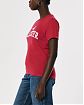 Женская футболка Hollister красного цвета с фирменным логотипом. Модель 06529. Подробное описание и цена товара. Доставка по России, Москве и Области от Moscow USA