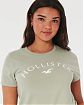 Женская футболка Hollister зеленого цвета с графическим логотипом. Модель 07101. Бесплатная доставка по России, Москве и Области от Moscow USA