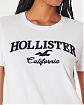 Женская футболка Hollister белого цвета с нашитым логотипом. Модель 07032. Подробное описание и цена товара. Доставка по России, Москве и Области от Moscow USA