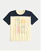 Женская футболка Hollister Oversized с принтом солнечной Бразилии. Модель 07822. Подробное описание и цена товара. Доставка по России, Москве и Области от Moscow USA
