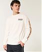 Moscow USA предлагает вам купить футболку с длинным рукавом Hollister бежевого цвета с графикой на груди, спине и рукавах. Модель 07563. Бесплатная доставка по России, Москве и области, самовывоз
