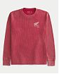 Мужская термофутболка Hollister красного цвета с графикой Хонда рейсинг. Оригинальная модель, бесплатная доставка и примерка по России.