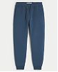 Moscow USA предлагает Вам купить спортивные штаны Hollister joggers синего цвета с логотипом в виде чайки. Модель 07778. Доставка по России, Москве и области, самовывоз.