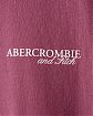 Moscow USA предлагает вам купить футболку Футболка Abercrombie Fitch Oversized бордового цвета с фирменным лого. Модель 06408. Доставка по России, Москве и области, самовывоз