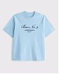 Мужская премиальная футболка Abercrombie & Fitch голубого цвета из плотного хлопка с графическим логотипом. Оригинальная модель 08177, бесплатная доставка и примерка по России.