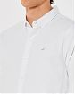 Moscow USA предлагает вам купить классическую рубашку Hollister белого цвета с нашитым логотипом. Модель 07096. Доставка по России, Москве и области, самовывоз