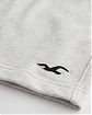 Moscow USA предлагает вам купить спортивные шорты Hollister серого цвета с логотипом чайки. Модель 06824. Доставка по России, Москве и области, самовывоз.