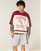 Мужские флисовые шорты Hollister Флорида Стайт Юниверсити с принтом — миниатюра 3