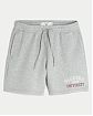 Мужские флисовые шорты Hollister Флорида Стайт Юниверсити с принтом — миниатюра 1