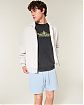 Мужские флисовые шорты Hollister светло-голубого цвета с поясом на шнурке и карманом на молнии. Оригинальная модель 08108, бесплатная доставка и примерка по России