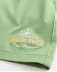 Moscow USA предлагает вам купить мужские плавательные шорты Hollister Malibu Beach светло-зелёные с графикой. Модель 07941. Бесплатная доставка по России, Москве и области, самовывоз.