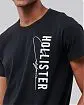 Moscow USA предлагает вам купить футболку Hollister черного цвета с белым нашитым логотипом. Модель 05970. Доставка по России, Москве и области, самовывоз.