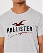 Moscow USA предлагает вам купить футболку Hollister светло-серого цвета с  нашитой надписью и логотипом чайки. Модель 06571. Доставка по России, Москве и области, самовывоз.