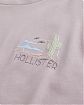 Moscow USA предлагает вам купить футболку Hollister лилового цвета с нашитой графикой. Модель 06980. Доставка по России, Москве и области, самовывоз.