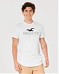 Moscow USA предлагает вам купить футболку Hollister белого цвета с нашитым графическим лого и изогнутым краем. Модель 06935. Доставка по России, Москве и области, самовывоз.
