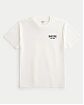 Moscow USA предлагает вам купить футболку Hollister белого цвета с нашитой графикой на груди и спине. Модель 06998. Доставка по России, Москве и области, самовывоз.