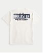 Moscow USA предлагает вам купить футболку Hollister белого цвета с нашитой графикой на груди и спине. Модель 06998. Доставка по России, Москве и области, самовывоз.