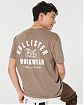 Moscow USA предлагает вам купить футболку Hollister коричневого цвета с нашитой графикой на груди и спине. Модель 06996. Доставка по России, Москве и области, самовывоз.