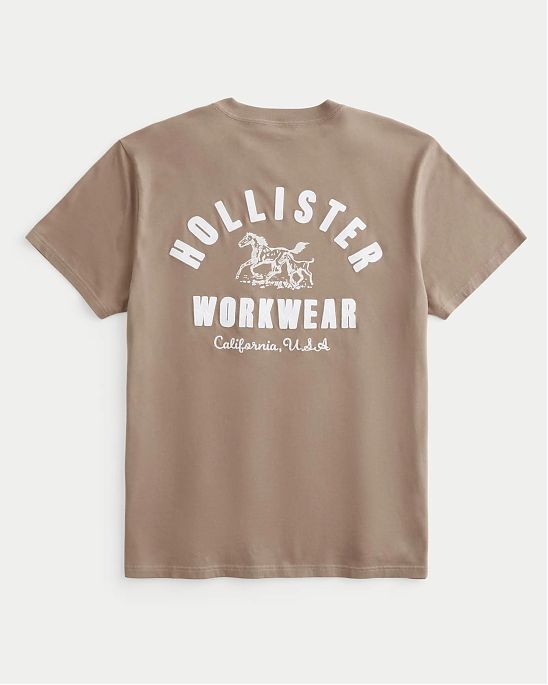 Moscow USA предлагает вам купить футболку Hollister коричневого цвета с нашитой графикой на груди и спине. Модель 06996. Доставка по России, Москве и области, самовывоз.