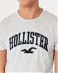 Moscow USA предлагает вам купить футболку Hollister светло-серого цвета с нашитой графикой. Модель 06999. Доставка по России, Москве и области, самовывоз.