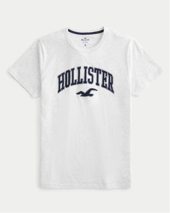 Moscow USA предлагает вам купить футболку Hollister светло-серого цвета с нашитой графикой. Модель 06999. Доставка по России, Москве и области, самовывоз.