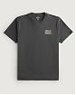 Moscow USA предлагает вам купить мужскую футболку Hollister темно-серого цвета с графикой Чикаго. Модель 07092. Доставка по России, Москве и области, самовывоз.