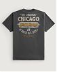 Moscow USA предлагает вам купить мужскую футболку Hollister темно-серого цвета с графикой Чикаго. Модель 07092. Доставка по России, Москве и области, самовывоз.
